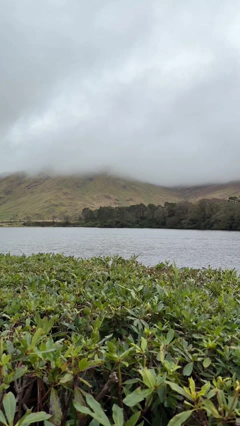 The mist over the river, Kylemore Abbey, Ireland. Stock Footage 314380268
