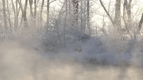 Mist over river in winter forest. Winter landscape. Stock Footage 83082025