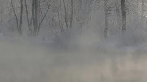 Mist over river in winter forest. Winter landscape. Stock Footage 83082046