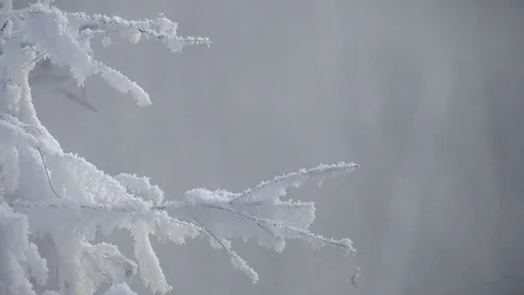 Mist over river in winter forest. Winter landscape. Stock Footage 83082090