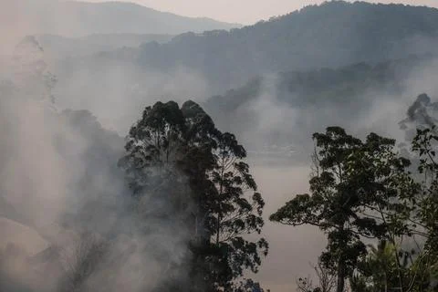 Mist Over South Pine River Valley Fotos de archivo