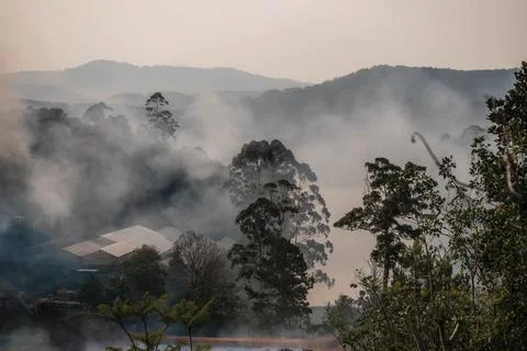 Mist Over South Pine River Valley Stock Photos