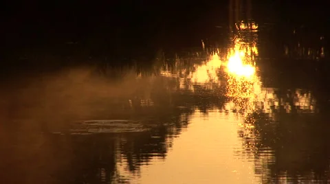 Mist over a swamp at dawn Video stock 5052102