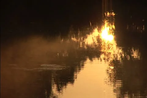 Mist over a swamp at dawn Stock Footage 8950676