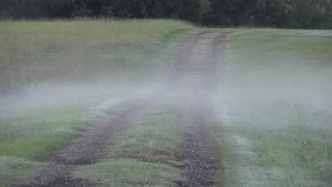 Mist Over Tire Tracks Stockbeeldmateriaal 130585981