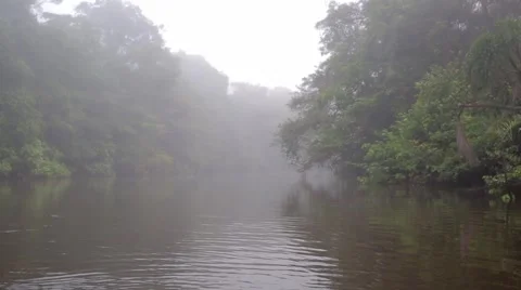 Mist over a tropical river Stock Footage 41857066