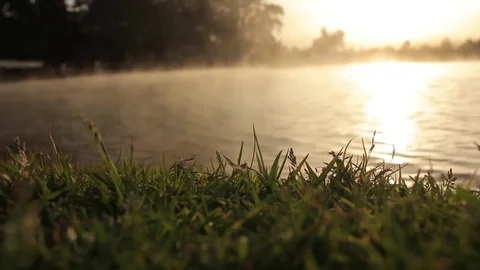 The mist over the water Vidéo 74206601