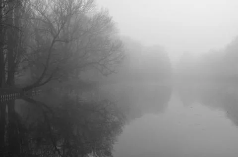 Mist in the park Stock Photos