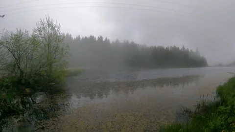 Mist passes over the forested pond. Stock Footage 246422243