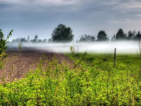 Mist Stock Photos