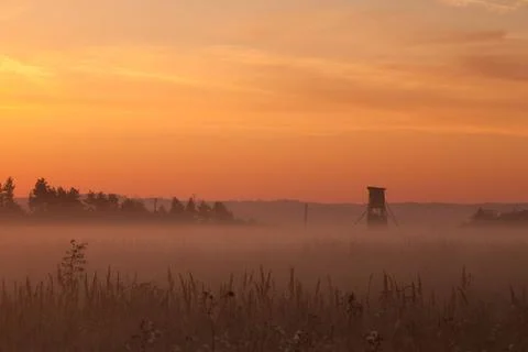 In the mist Stock Photos