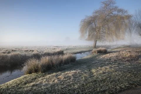 Into the mist Stock Photos