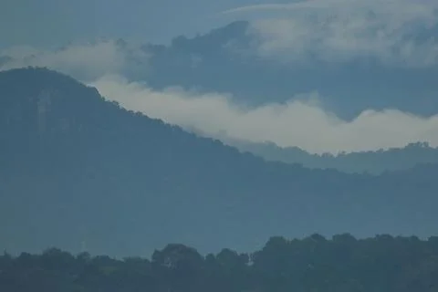 Mist Stock-Fotos