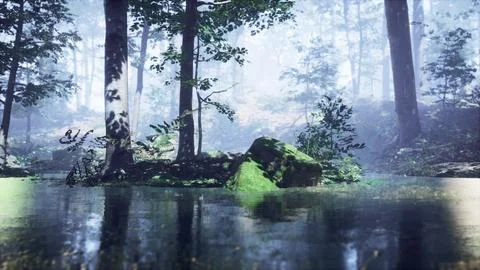 Mist on pond in forest with fog Ilustración de archivo