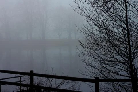 Mist on a pond in winter. Stock Photos