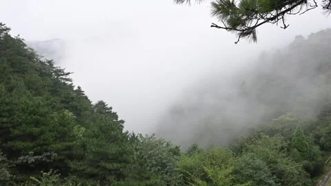 Mist Pouring Through Forested Mountain Valley, Lushan China 스톡 동영상 346732926