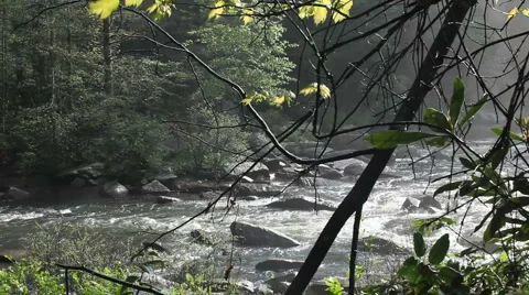 Mist On Raging River Stock Footage 957066