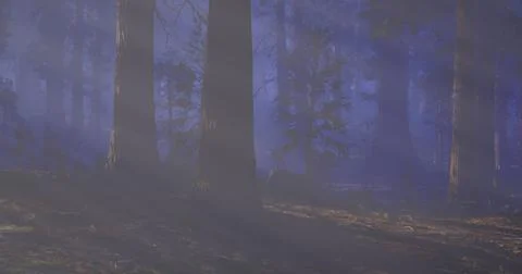Mist rises among tall trees in a serene forest setting at dusk Ilustração Stock