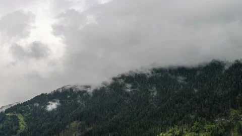 Mist Rises From a Dark Green Forest Stock Footage 149908391