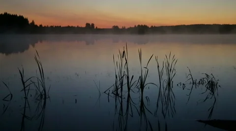 Mist rises over lake Stock Footage 52050686