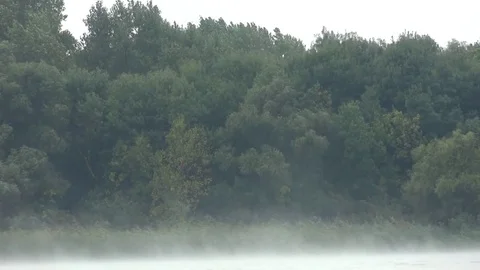 Mist that rises from the water the forest blown by wind Stock Footage 71167475