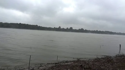 Mist that rises from the water the forest blown by wind Video stock 78222029
