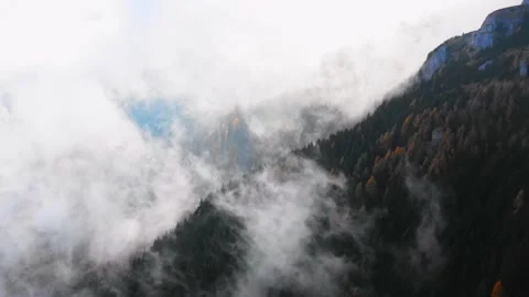 Mist rising from a forest after rain, mountain woods in Altai Mountains Stock Footage 312166937
