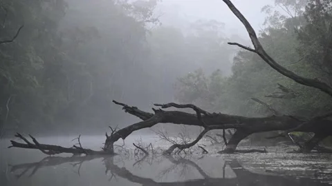 Mist on a river  Stock Footage 230213542