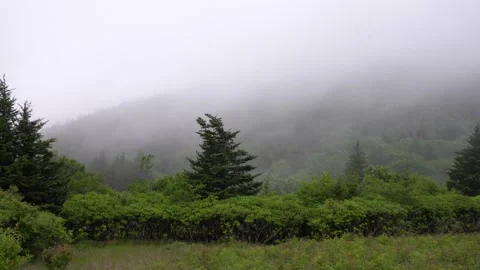 Mist Rolling in the Mountains Video stock 172409759