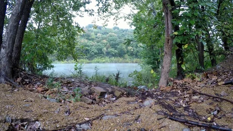 Mist Rolling on a River in Rain, Seen Through Trees on Shore Stock-Footage 96361114