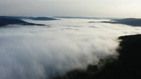 Mist Rolling Off the Trees Stock Footage 196167184