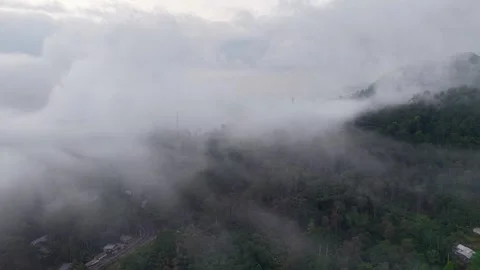 Mist rolls over dense forest canopy Vídeo Stock 346916911