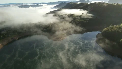MIST SLIDES BETWEEN TREES Stock Footage 165984586