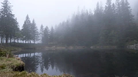 Mist by a small lake surrounded by trees - Timelapse 4K+ Stock Footage