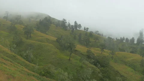 The mist spreads over the green and wooded hills of Mount Rinjani, in Indonesia Stock Footage 221878720