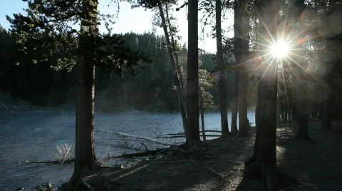 Mist sun through trees river P HD 2534 Stock Footage 531743