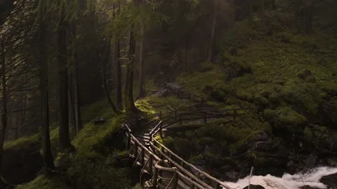Mist in the sunlight / Nature / 4K Stock Footage 143608013