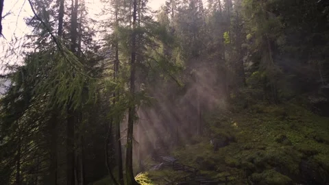 Mist in the sunlight / Nature / 4K Stock Footage 143608040