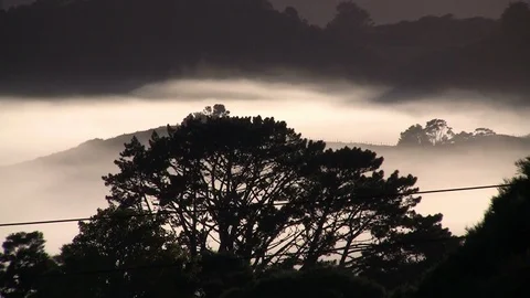 Mist in a valley. Stock Footage 90211516