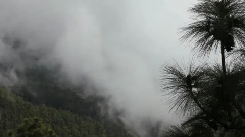 Mist in Valley NTSC 29.97 Stock Footage 8988443