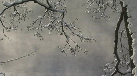 Mist on the water in winter Stock Footage 608923