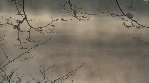 Mist on the water in winter Stock Footage 608924
