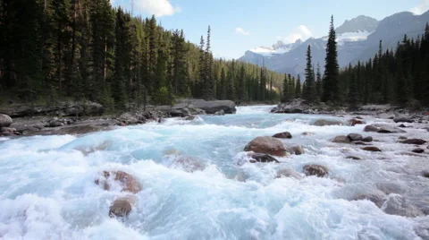 Mistaya River 스톡 동영상 1065248