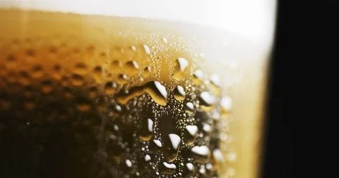 Misted glass with cold light beer Stock-Footage 88091227
