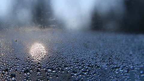 Misted window at sunrise Stock Footage 230000975