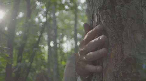 Misterious hand grabs a tree then disappears in slow motion 100 fps Stock Footage 54074953