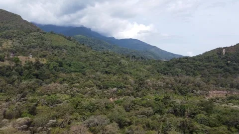 Misterius green 스톡 동영상 272181334