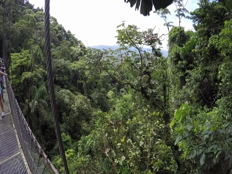Mistico Hanging bridges park in Arenal Costa Rica Stock Footage