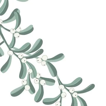 Mistletoe branch frame element isolated on a white background, vector illus.. Stock Illustration