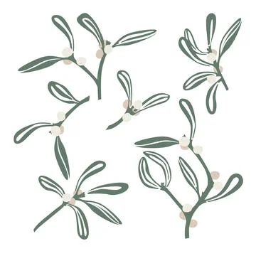 Mistletoe branches with white berries. Vector isolated set. Christmas decoration Stock Illustration
